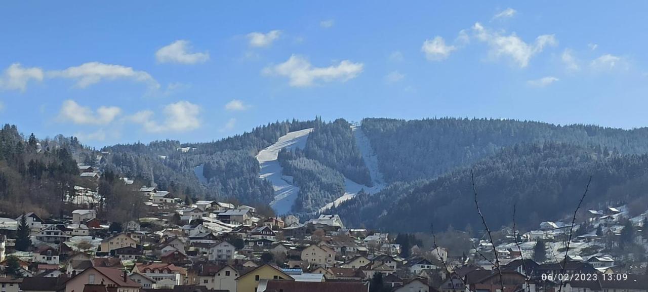 Charmant Chalet, Spacieux, Proche Du Lac, Vue Sur La Montagne Gérardmer Exterior photo