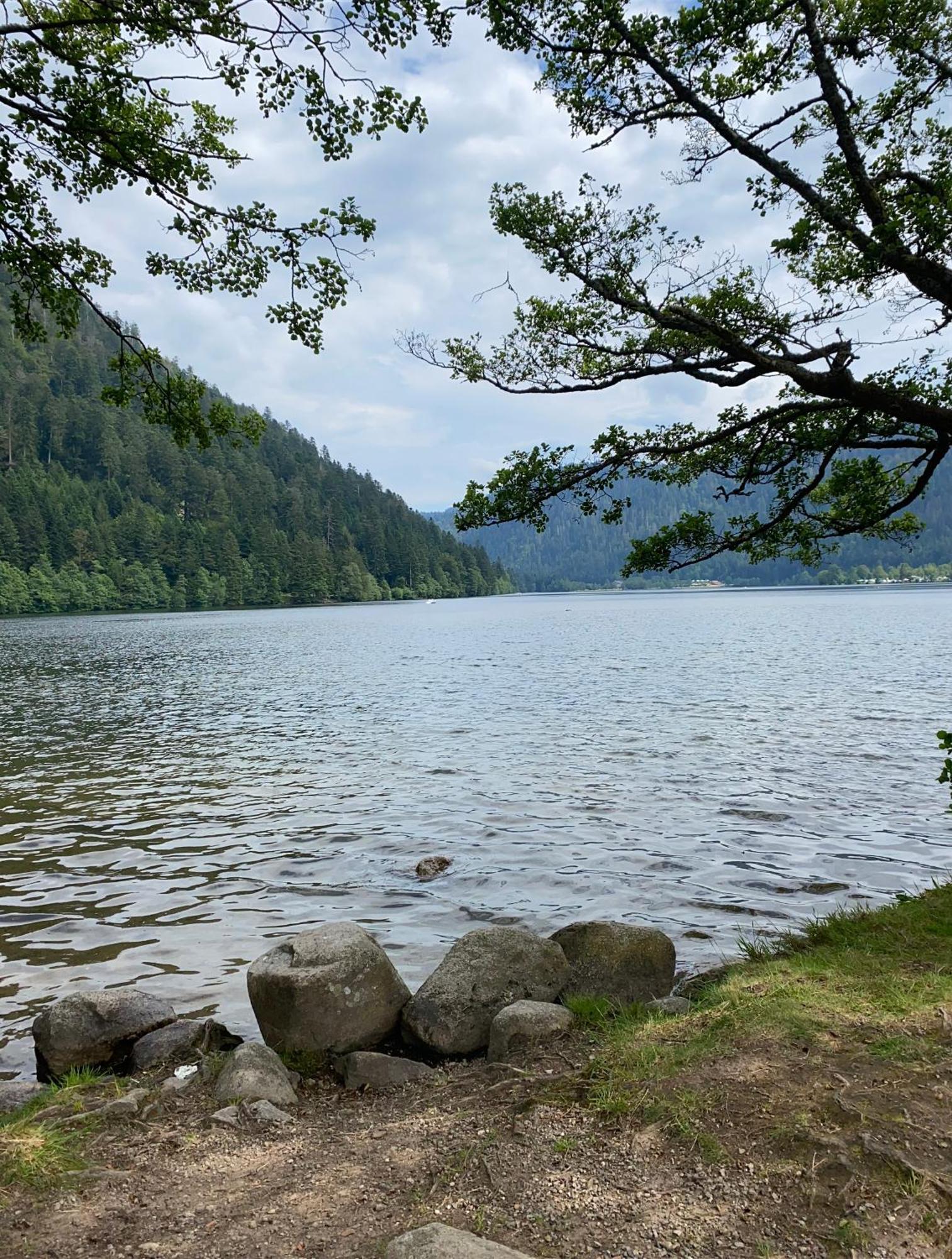 Charmant Chalet, Spacieux, Proche Du Lac, Vue Sur La Montagne Gérardmer Exterior photo